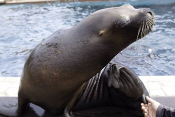 hotel casona el arral