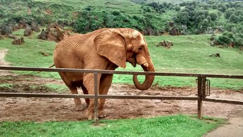 hotel casona el arral