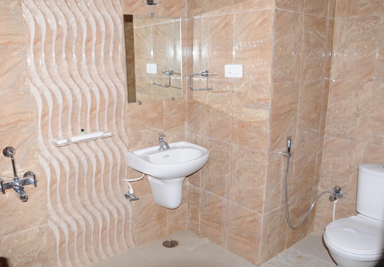 hotel mayura international