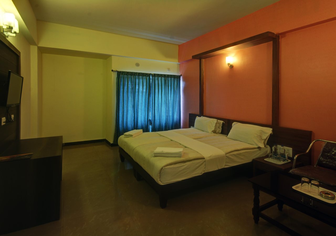 hotel mayura international