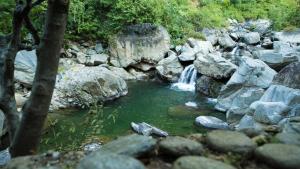 soulitude by the riverside