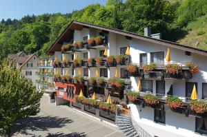 Flair Hotel Sonnenhof,Baiersbronn>>Baden-Baden,4 star