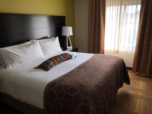 staybridge suites grand rapids kentwood by ihg