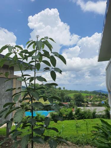 cherpue chiangmai