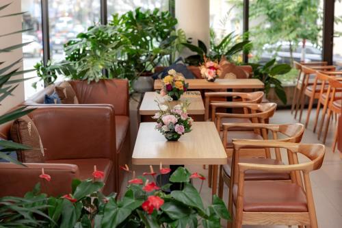 tropical paradise sapa hotel