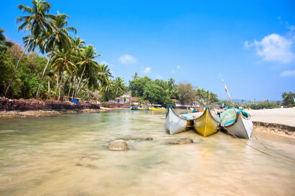 maple leaf residency homes calangute