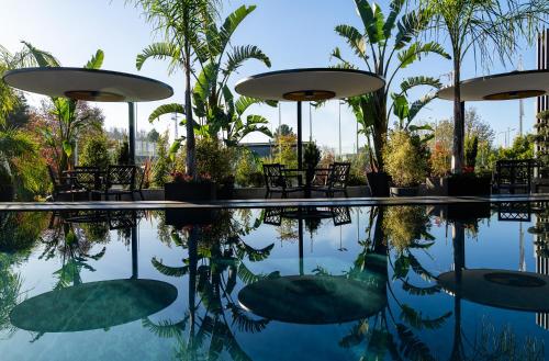 palatial suites