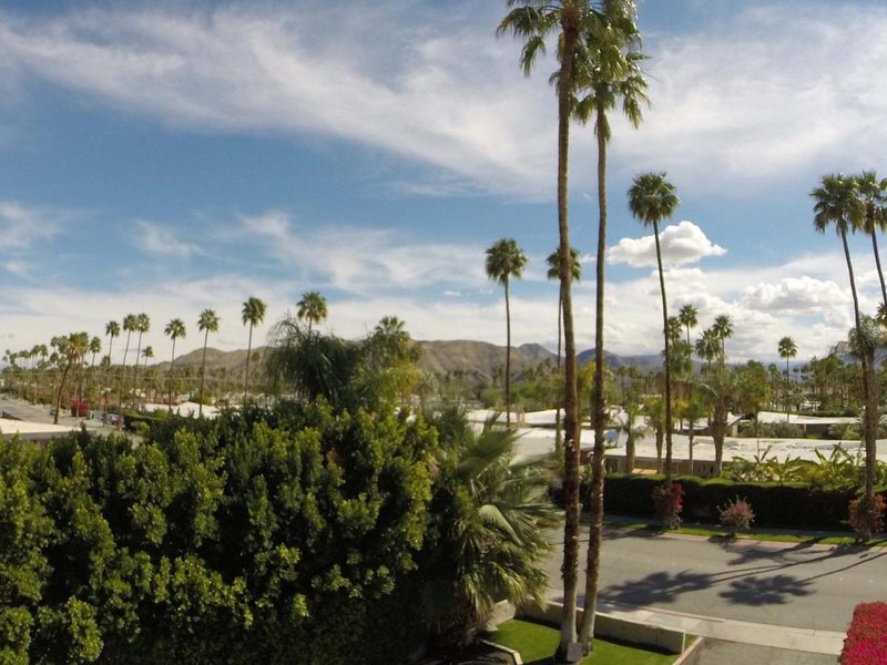 royal sun palm springs