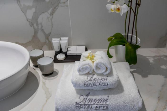 anemi hotel and suites