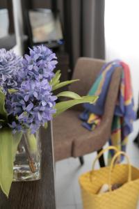 anemi hotel and suites