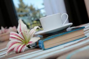 anemi hotel and suites