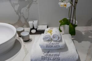 anemi hotel and suites