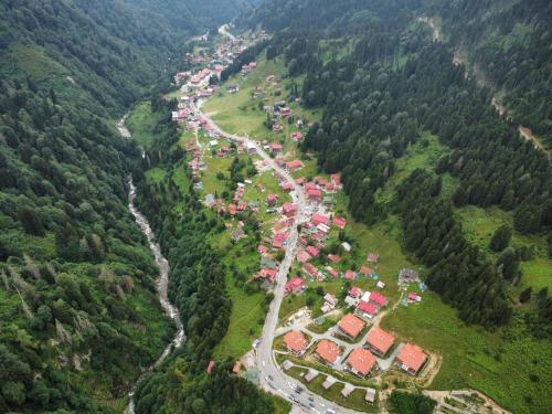 ayder altiparmak suit