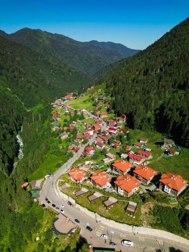 ayder altiparmak suit