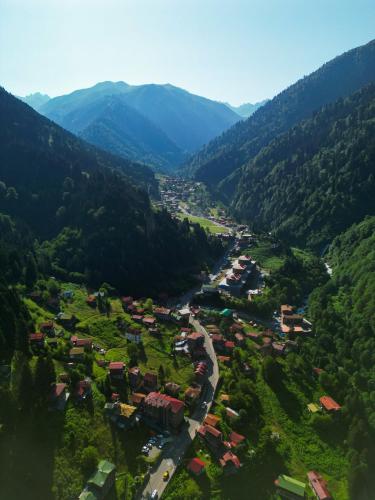 ayder altiparmak suit