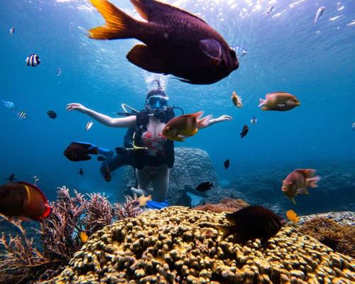 thuyen xua homestay phu quy island