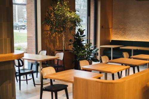 tulip residences lviv