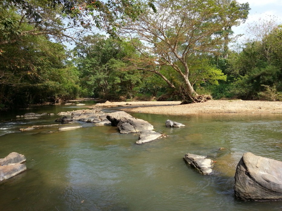 udawalawa
