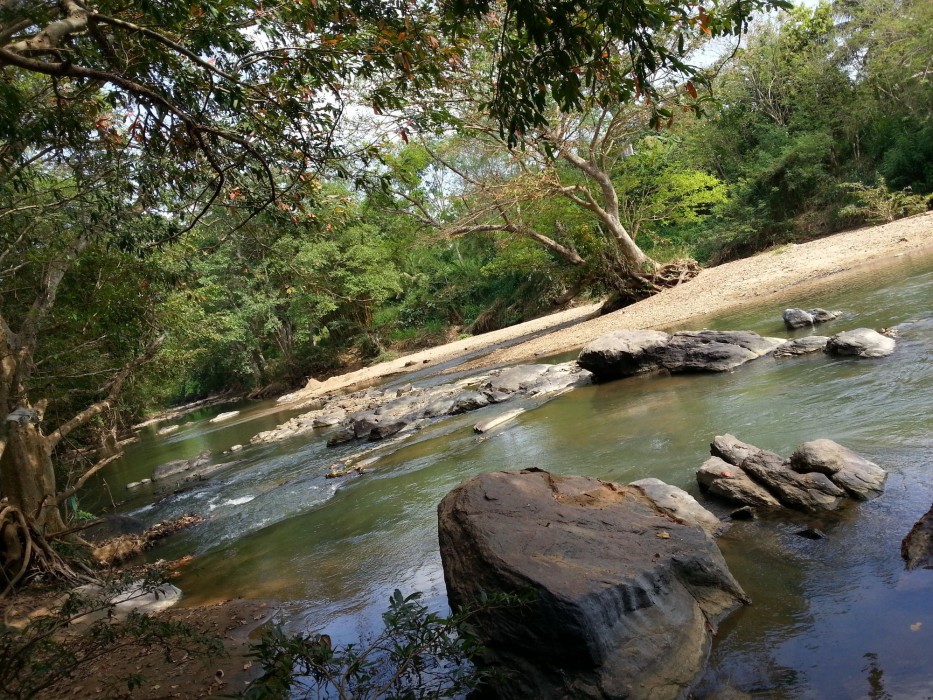 udawalawa