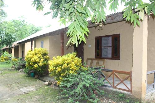 bardia jungle cottage