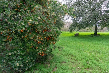 Villa Trigona,Enna>>Catania,4 star