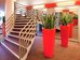 ibis epernay centre ville
