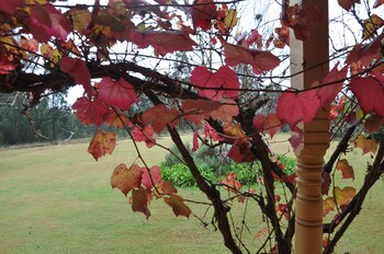 woolshed hill estate
