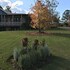 woolshed hill estate