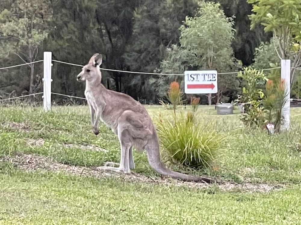 woolshed hill estate