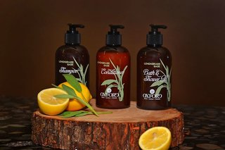 oxford suites portland jantzen beach