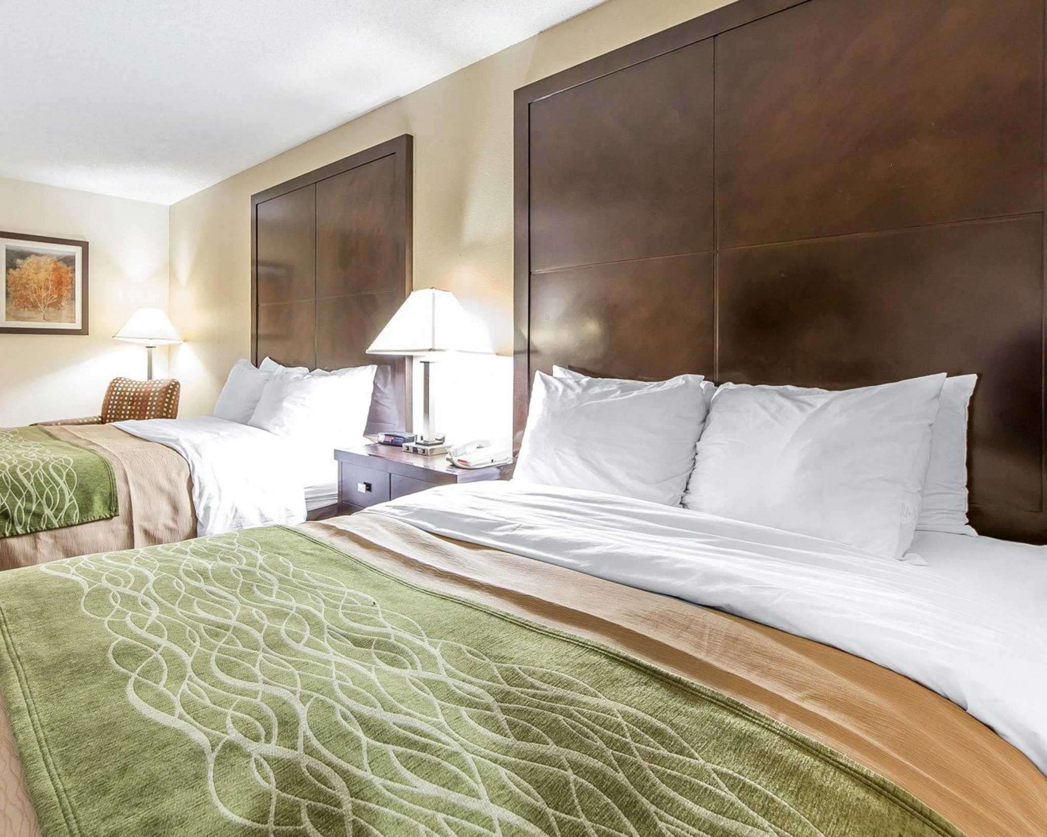 quality inn and suites