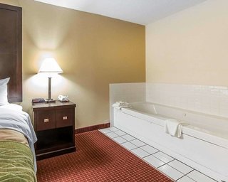 quality inn and suites