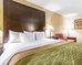 quality inn and suites