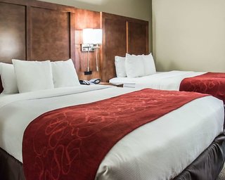 Comfort Suites University - Research Park,North Carolina>>Charlotte,3 star