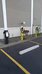 best western plus university inn