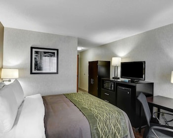 comfort inn