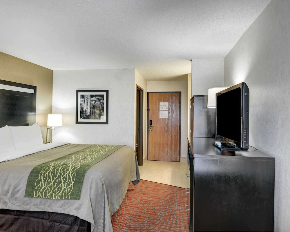 comfort inn