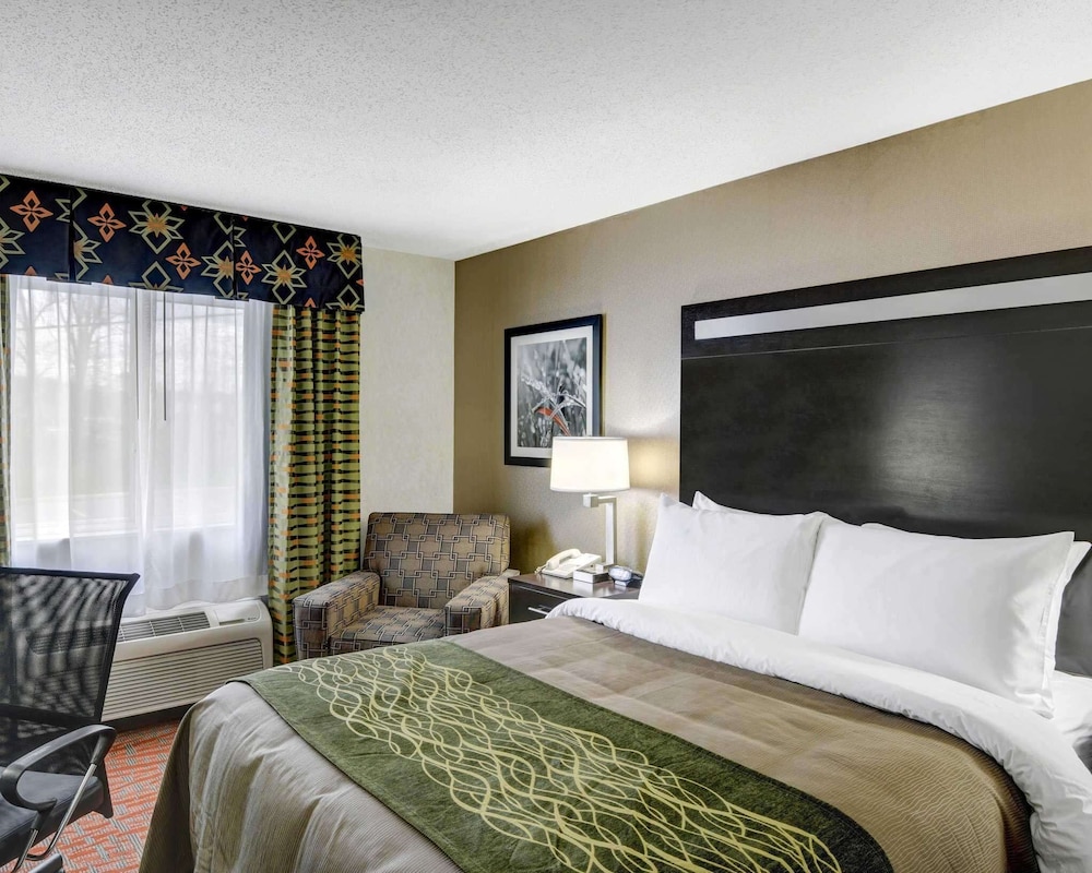 comfort inn