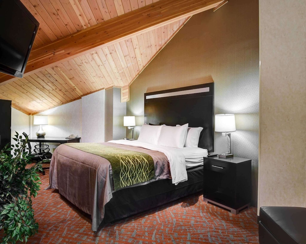 comfort inn