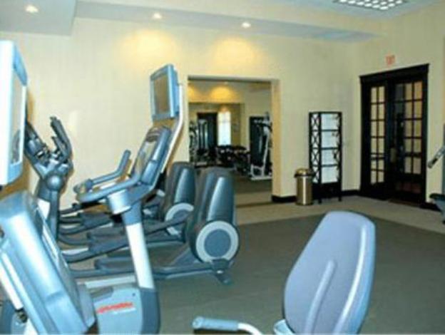 st petersburg marriott clearwater