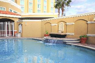 st petersburg marriott clearwater