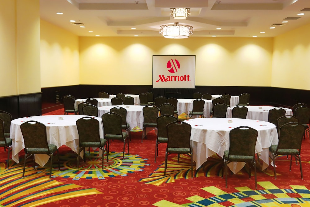 st petersburg marriott clearwater