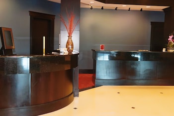 st petersburg marriott clearwater