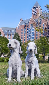 Crowne Plaza Tianjin Jinnan By Ihg,Tianjin>>Hexi,5 star