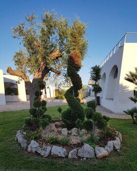 la casarana wellness eco resort