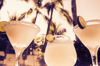 el pescador hotel