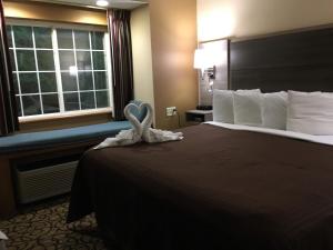 guest inn pigeon forge