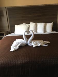 guest inn pigeon forge