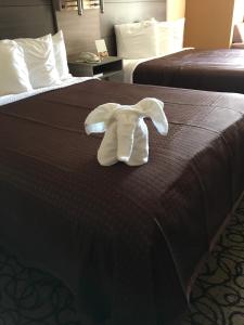 guest inn pigeon forge