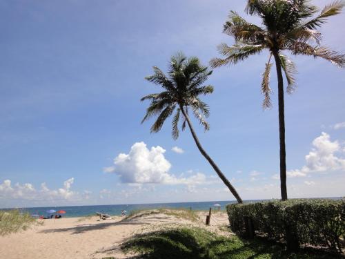 pompano beach